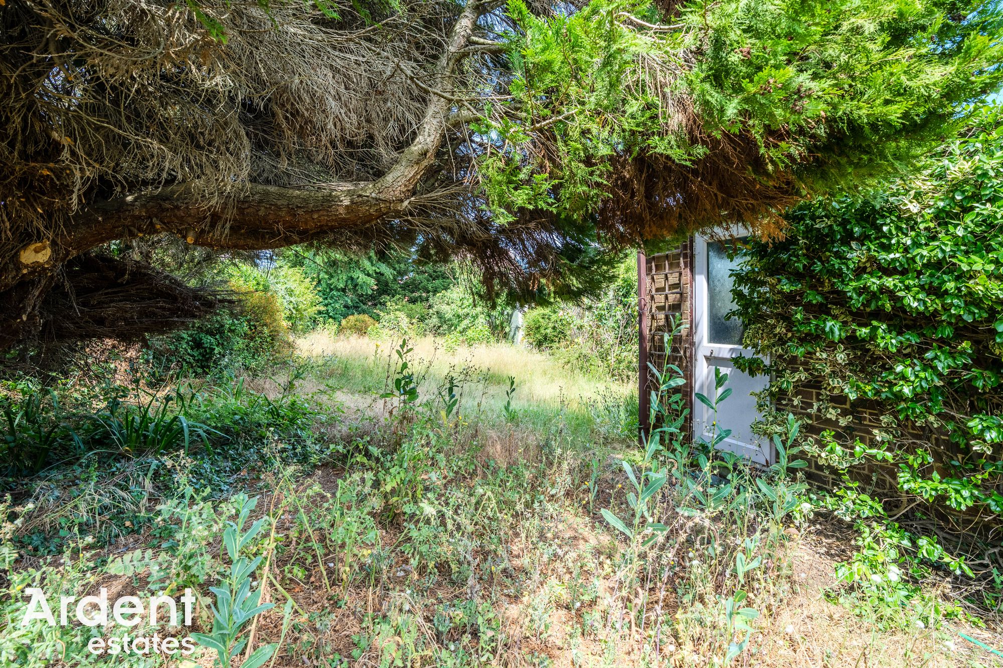 DSC05593-HDR